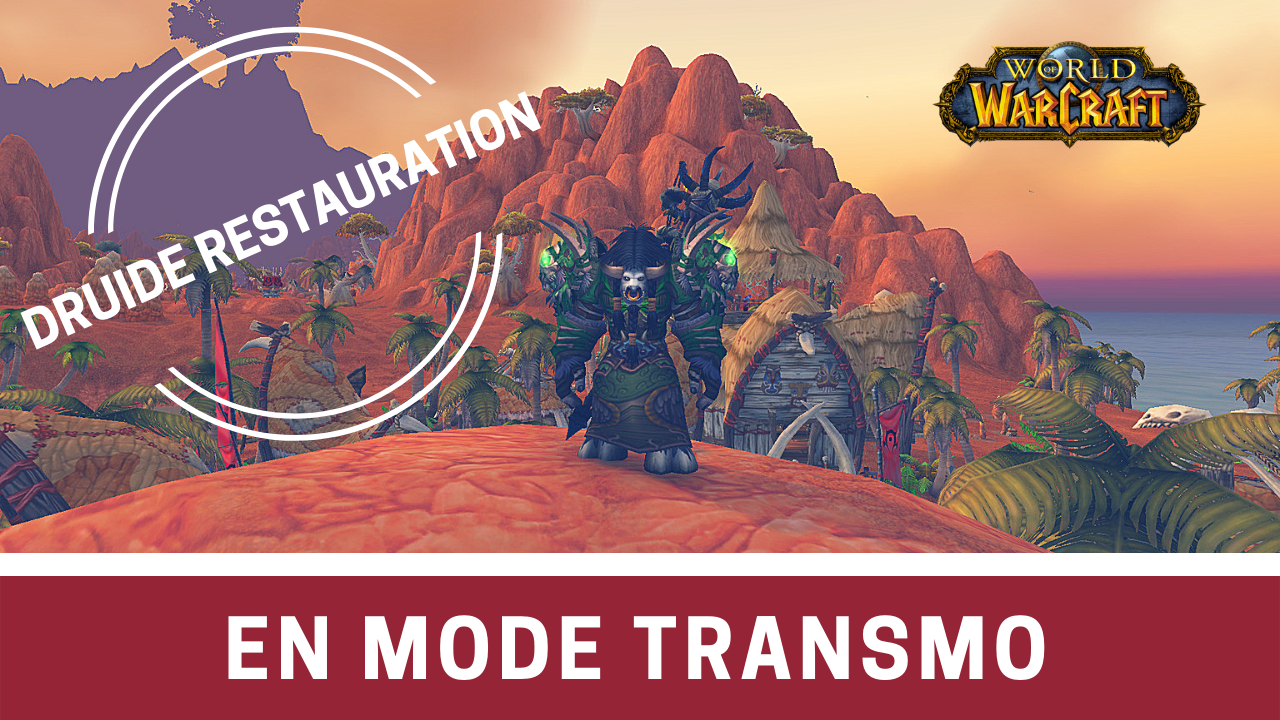 Featured image of post En mode transmo #2